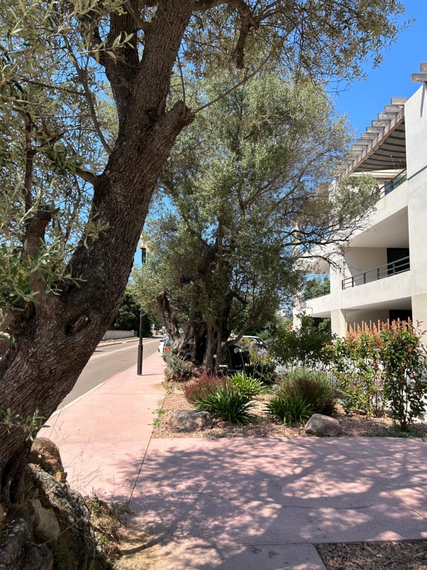 Sognu Di Serena - Superbe Appartement Avec Parking Gratuit Sur Place Porto Vecchio Esterno foto